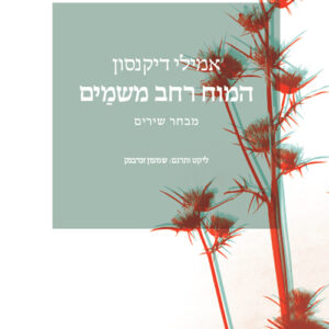 המוח רחב משמים